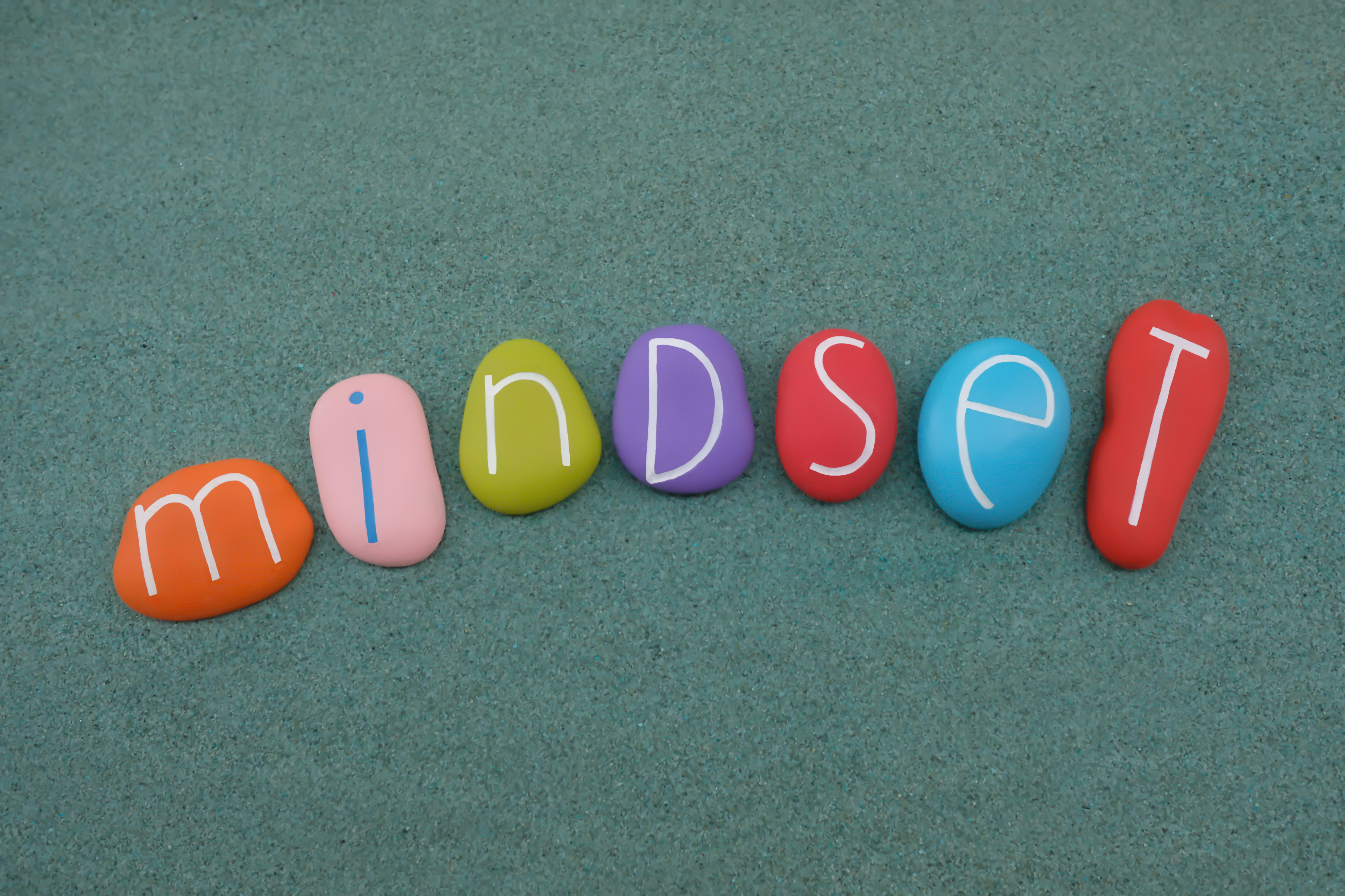  mindset pic 