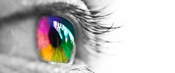 What can Management do when they have the Soft Skills?