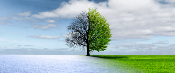  Why do organisations fail at change? 