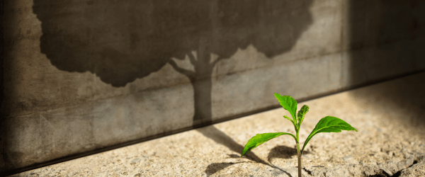  Growth Mindset: Lessons learned are in the past … 